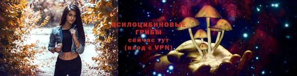 марки lsd Яранск