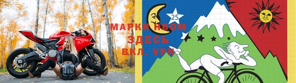 эйфоретик Янаул