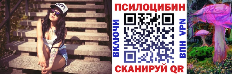 Псилоцибиновые грибы мицелий  даркнет сайт  Михайловск 